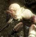 The-Falmer-3.jpg