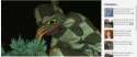 tree pepe.png