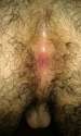 received_725065047608709.jpg
