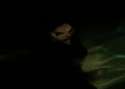 476467467597598.gif