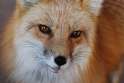 1353101215804.jpg