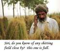 I need a new shitting field.jpg