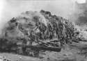 holocaust-victims-dead-bodies-burned.jpg