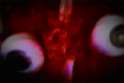 1454510788539.gif