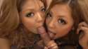 japanese-blowjobs-uncensored.gif