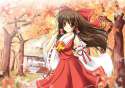 hakurei_reimu.jpg