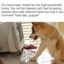 high bandwidth husky.jpg
