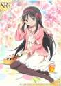 Homura (172).jpg