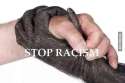 Please-stop-it.jpg