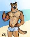 1441839965.ittar_shepard_at_the_beach.png