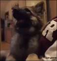 whoa dude!.gif