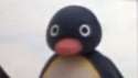 pingu mock.gif