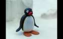 Noot Noot1.png