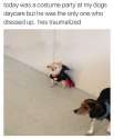 theworldpolice_1269926255550730083_349055706.jpg