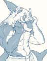 cuteshark.jpg