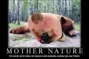 fedor-bear.jpg