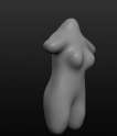 RoughBase.jpg