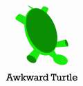 awkward turtle.jpg