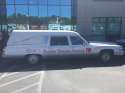 Barbie Dream Hearse.jpg
