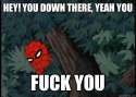 spiderman in tree.jpg