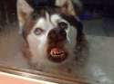 mfw-4__700.jpg