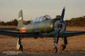 VH-NND-3 copy.jpg