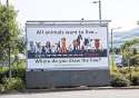 veganbillboard.jpg