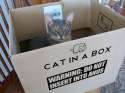 cat-box.jpg
