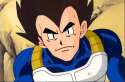 Vegeta Oak.jpg