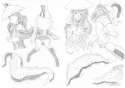 Cell tail vore 01.jpg