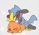 PMD9.png