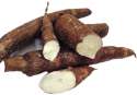 yuca.jpg