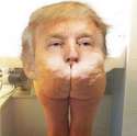 trump.png