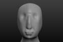 BasicFaceShape.jpg