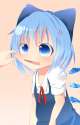 pinching cirno.png