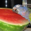 1406696343934.jpg