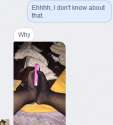 Untitled.png