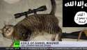 terrorcat.jpg