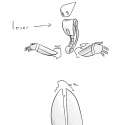 r.png