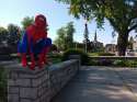 spiderman.jpg