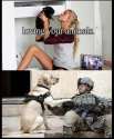 animal.png