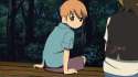 tanuki.gif