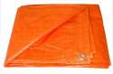 Rare tarp.jpg