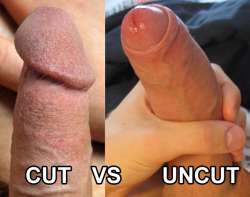 cutVSuncut.jpg