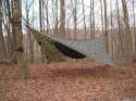 2006_0331Image0081_original.jpg