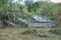 Camo Tarp in Trees.jpg