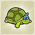 turtle_wizard.0.jpg