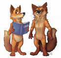 1463664427.vetrofroza_mongrels3.jpg