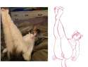 1446883380.paintchaser_c14.jpg