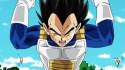 MADVEGETA.gif